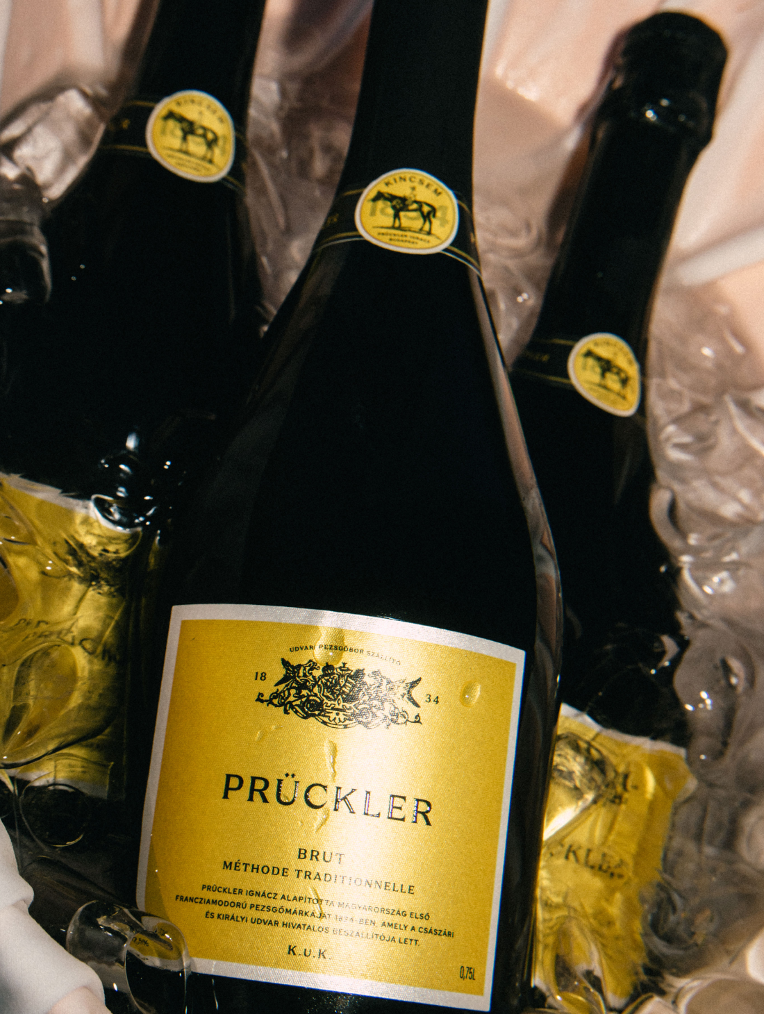 Prückler Brut